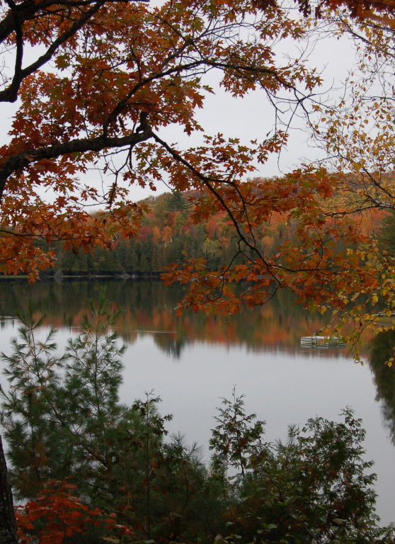Autumn